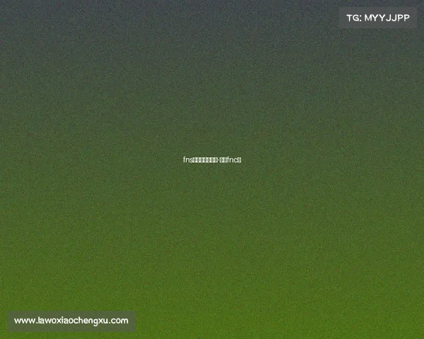 fns电子竞技俱乐部-电竞fnc队 fns电子竞技俱乐部-电竞fnc队