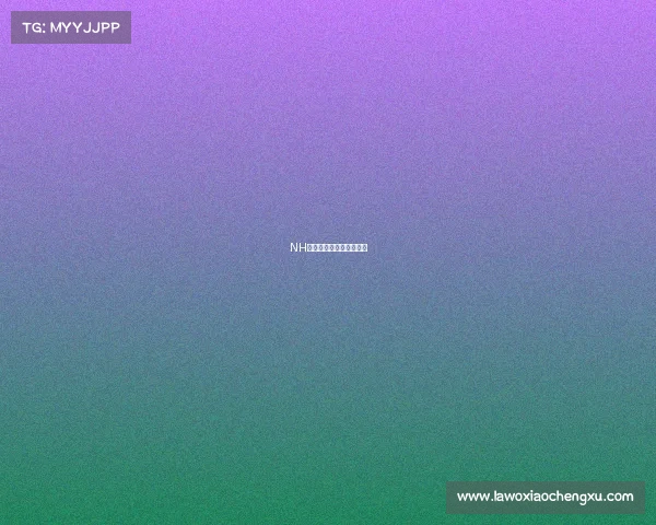 NH战队风云录再铸荣光征途 NH战队风云录再铸荣光征途